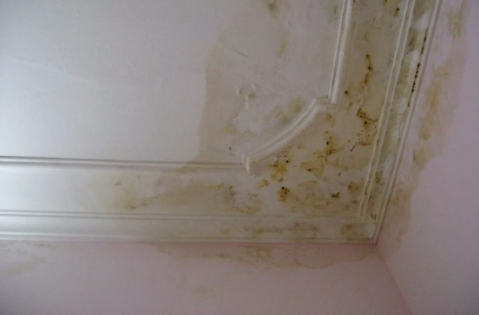 Sử dụng sơn nội thất chống thấm giúp ngăn chặn việc tường nhà thấm nước