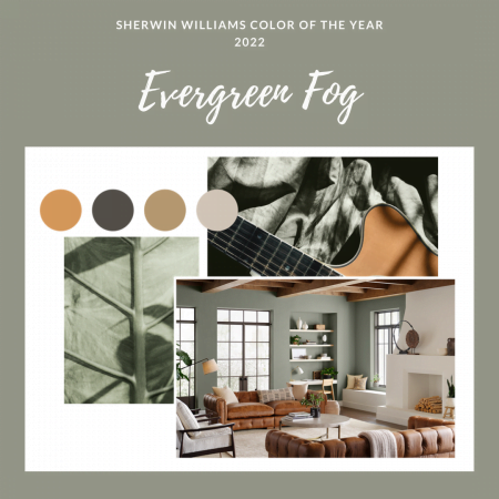 Evergreen Fog - màu sơn xu hướng 2022