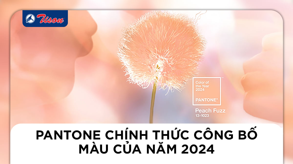 Pantone chính thức công bố màu của năm 2024 – Peach Fuzz